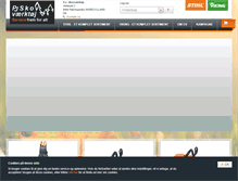 Tablet Screenshot of pj-skovvrktj.stihl-viking.dk